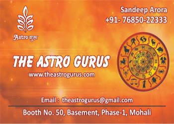 Astro-sandeep-Vedic-astrologers-Sector-17-chandigarh-Chandigarh-2