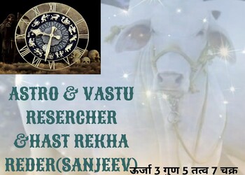 Astro-vastu-researcher-hast-rekha-readersanjeev-Astrologers-Alwar-Rajasthan-2