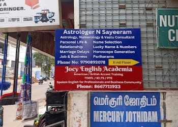 Astrologer-n-sayeeram-Numerologists-Velachery-chennai-Tamil-nadu-2