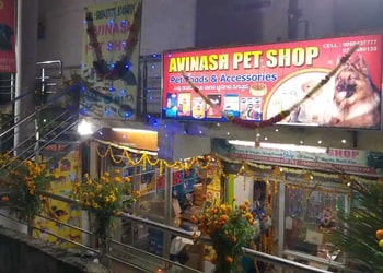 Avinash-pet-shop-Pet-stores-Gulbarga-kalaburagi-Karnataka-1
