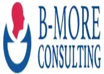 B-more-consulting-llp-Business-consultants-Mumbai-central-Maharashtra-1