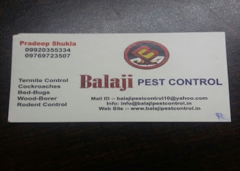 Balaji-pest-control-Pest-control-services-Kandivali-mumbai-Maharashtra-1