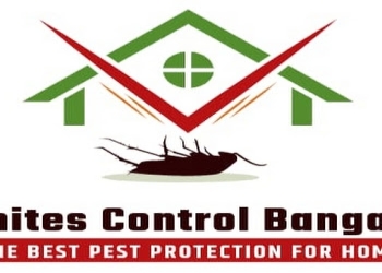 Bangalore-termite-control-solutions-Pest-control-services-Electronic-city-bangalore-Karnataka-1