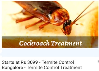 Bangalore-termite-control-solutions-Pest-control-services-Electronic-city-bangalore-Karnataka-2