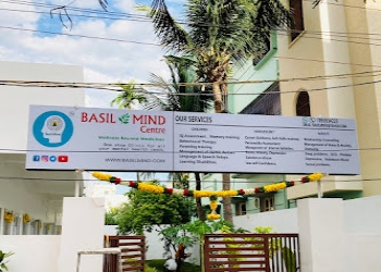 Basilmind-Psychiatrists-Sullurpeta-nellore-Andhra-pradesh-1