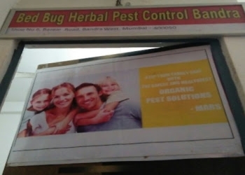 Bed-bug-herbal-pest-control-bandra-Pest-control-services-Bandra-mumbai-Maharashtra-1
