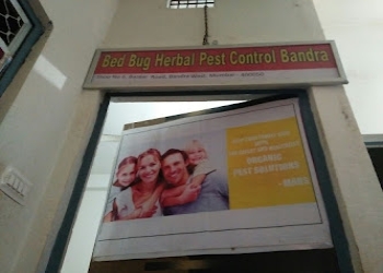 Bed-bug-herbal-pest-control-bandra-Pest-control-services-Bandra-mumbai-Maharashtra-2