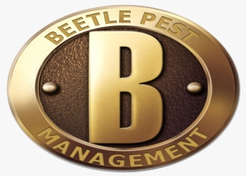 Beetle-pest-management-Pest-control-services-Civil-lines-ludhiana-Punjab-1