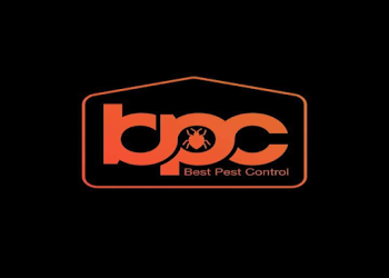 Best-pest-control-Pest-control-services-Punkunnam-thrissur-trichur-Kerala-1