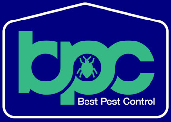Best-pest-control-Pest-control-services-Thrissur-trichur-Kerala-1