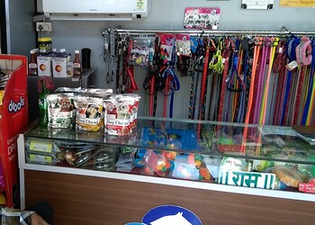 Bhairav-canine-Pet-stores-Bhavnagar-Gujarat-2