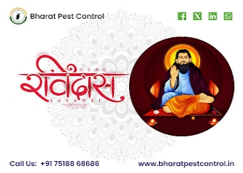 Bharat-pest-control-in-lucknow-Pest-control-services-Lucknow-Uttar-pradesh-2