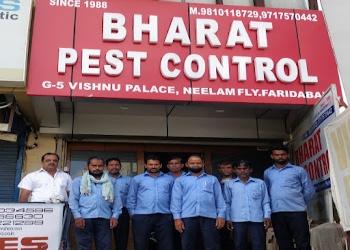 Bharat-pest-control-Pest-control-services-Sector-12-faridabad-Haryana-1