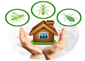 Bhavya-pest-control-solutions-Pest-control-services-Naroda-ahmedabad-Gujarat-1