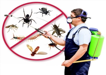 Biochem-pest-control-Pest-control-services-Thanjavur-junction-thanjavur-tanjore-Tamil-nadu-2