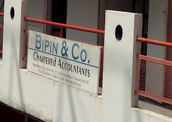 Bipin-co-Chartered-accountants-Alkapuri-vadodara-Gujarat-1