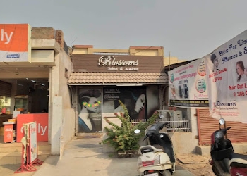 Blossoms-the-salon-Beauty-parlour-Nehru-nagar-bhilai-Chhattisgarh-1