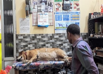 Blue-cross-pet-clinic-Veterinary-hospitals-Bilaspur-Chhattisgarh-2