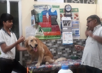 Blue-cross-pet-clinic-Veterinary-hospitals-Vyapar-vihar-bilaspur-Chhattisgarh-3