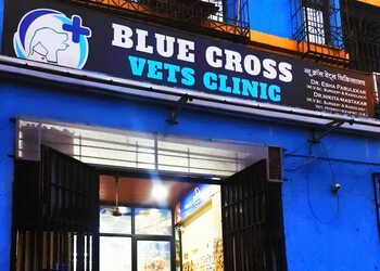 Blue-cross-vets-clinic-Veterinary-hospitals-Navi-mumbai-Maharashtra-1