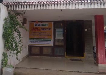 Blue-dart-dhl-sree-ram-enterprises-Courier-services-Kakinada-Andhra-pradesh-3