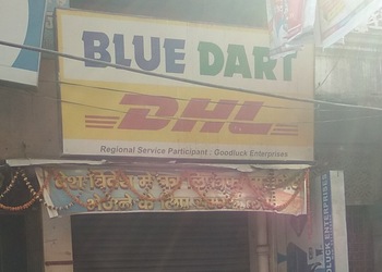 Blue-dart-express-ltd-Courier-services-Bettiah-Bihar-1