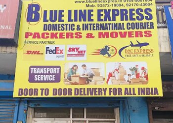 Blue-line-express-Courier-services-Bathinda-Punjab-1