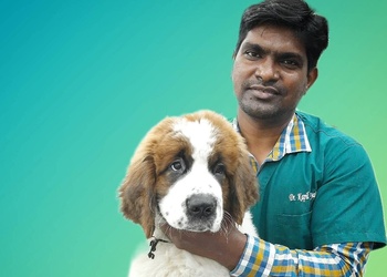 Blue-pulse-pet-clinic-Veterinary-hospitals-Balewadi-pune-Maharashtra-2