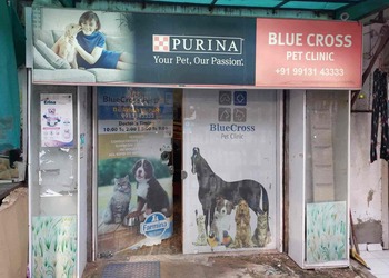 Bluecross-pet-clinic-Veterinary-hospitals-Ambawadi-ahmedabad-Gujarat-1