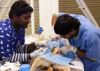 Bluecross-pet-clinic-Veterinary-hospitals-Bapunagar-ahmedabad-Gujarat-2