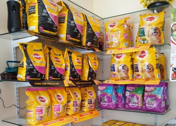 Bow-wow-dogs-pet-zone-Pet-stores-Vizag-Andhra-pradesh-2