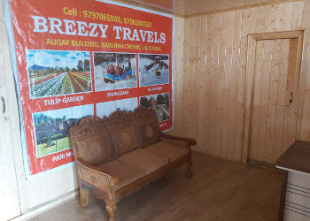 Breezy-travels-kashmir-Travel-agents-Jawahar-nagar-srinagar-Jammu-and-kashmir-1
