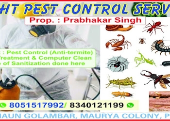 Bright-pest-control-services-Pest-control-services-Ashok-rajpath-patna-Bihar-1