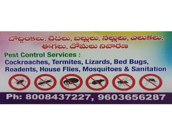 Brundavan-pest-control-solutions-Pest-control-services-Nizampet-hyderabad-Telangana-1