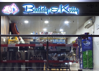 Buddy-kitty-Pet-stores-Vidyanagar-hubballi-dharwad-Karnataka-1