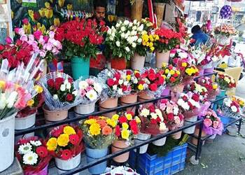 Buds-florist-Flower-shops-Dehradun-Uttarakhand-2