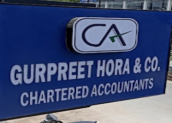 Ca-gurpreet-singh-hora-Chartered-accountants-Bilaspur-Chhattisgarh-1