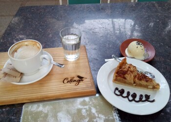 Cafe-cotinga-Cafes-Goa-Goa-3