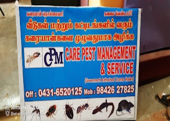 Care-pest-management-service-Pest-control-services-Kk-nagar-tiruchirappalli-Tamil-nadu-2