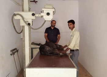 Cfcu-vet-Veterinary-hospitals-Ghaziabad-Uttar-pradesh-3