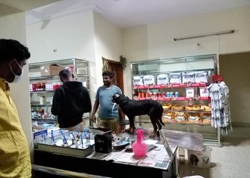 Chandan-veterinary-clinic-Veterinary-hospitals-Mysore-Karnataka-3