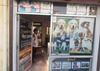 Chaudhary-pet-shop-Pet-stores-Saharanpur-Uttar-pradesh-1