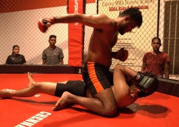Chennai-mixed-martial-arts-training-academy-Martial-arts-school-Chennai-Tamil-nadu-2