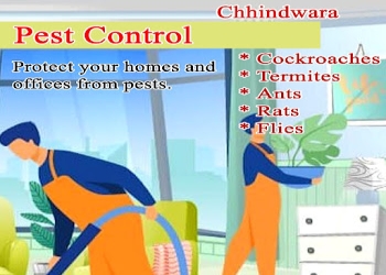 Chhindwara-pest-control-and-cleaning-services-Pest-control-services-Chhindwara-Madhya-pradesh-1