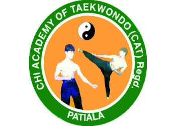 Chi-academy-of-taekwondo-Martial-arts-school-Patiala-Punjab-1