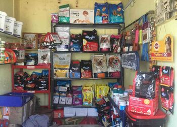 Choice-Pet-stores-Solapur-Maharashtra-2