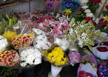 Chuquet-flower-boutique-Flower-shops-Andheri-mumbai-Maharashtra-2