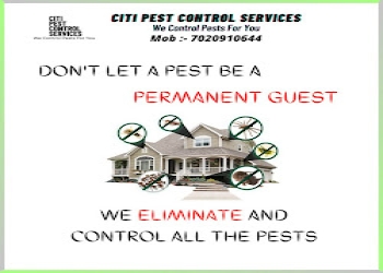 Citi-pest-control-services-Pest-control-services-Aurangabad-Maharashtra-2