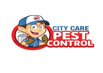 City-care-pest-control-Pest-control-services-Hadapsar-pune-Maharashtra-1