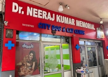 City-dog-and-cat-clinic-Veterinary-hospitals-Meerut-Uttar-pradesh-1